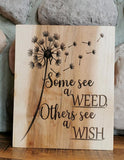 Some See A Weed Others See a Wish Sign